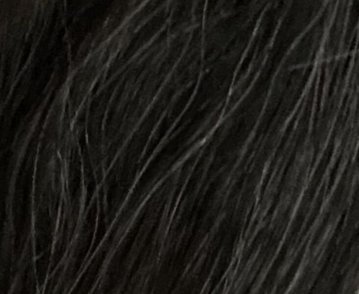 What percentage of grey is my hair (pic)