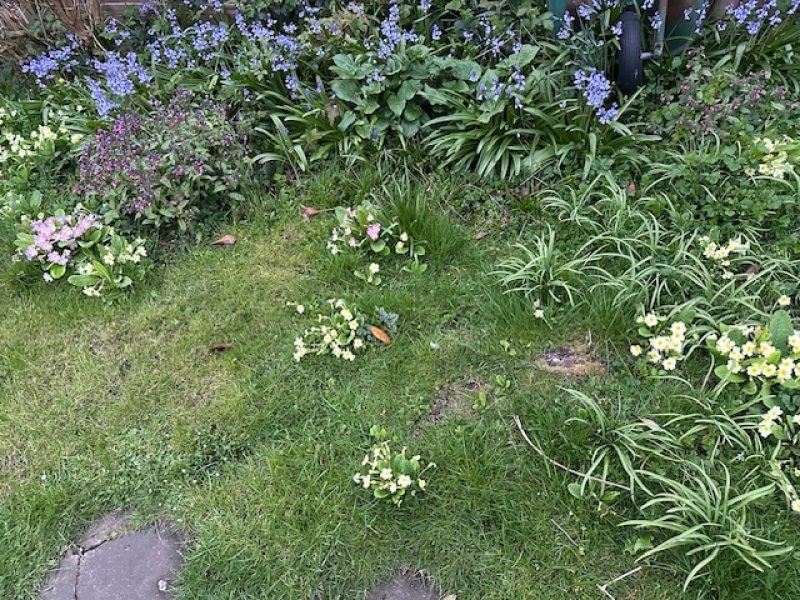 The Year Round Nigel Slater Discussion thread