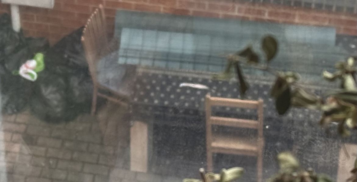 To despise my neighbours.
