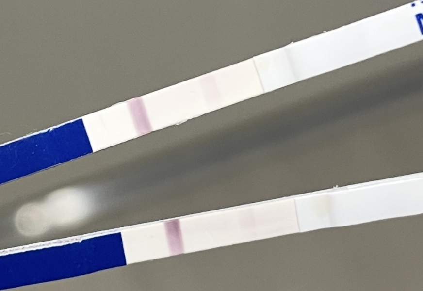 Miscarriage or false positive?