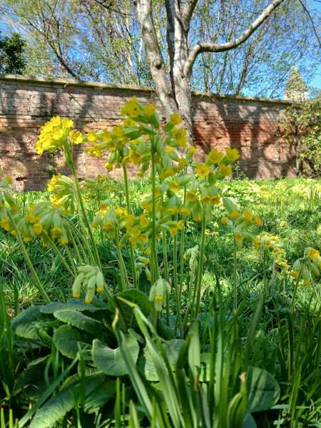 Which gardens do you like to visit to get inspiration?