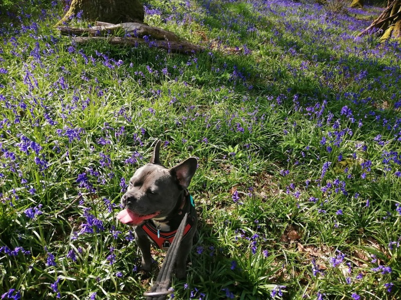 The support thread for anyone trying to live an alcohol free life. Spring 2025.