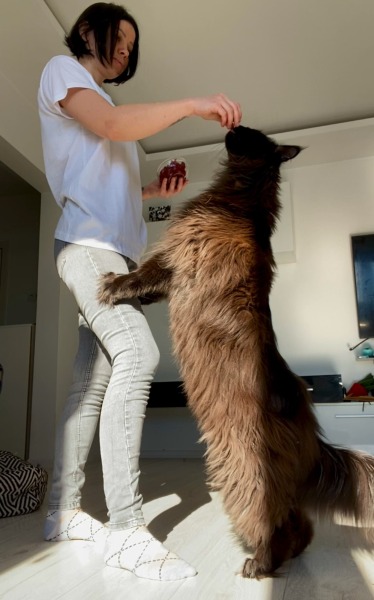 Hymns in Minor Keys & the Russian Easter Overture - the Excellent Cats ignore Culture.....