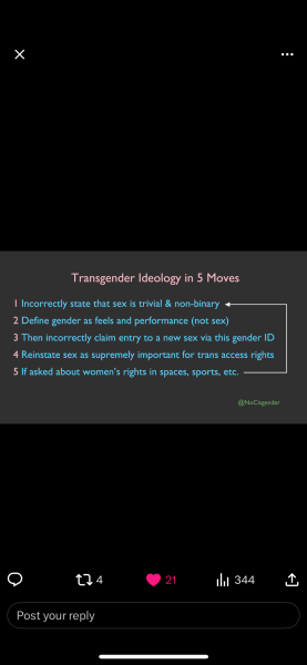 Gender and pronouns