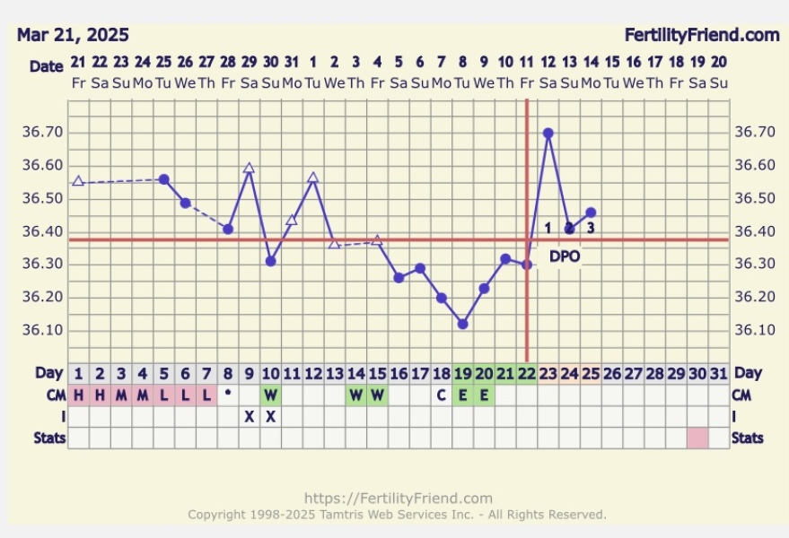 When did I ovulate?