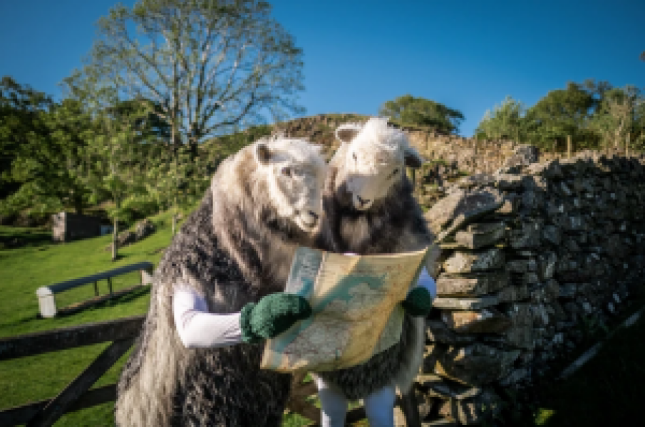 While the UKSC has confirmed that woman means woman, this doesn't mean that women can...