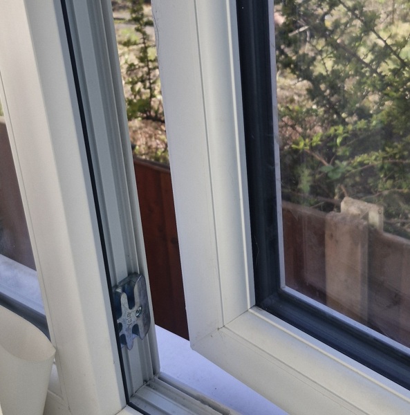 To ask if there's any hope of my cat returning?