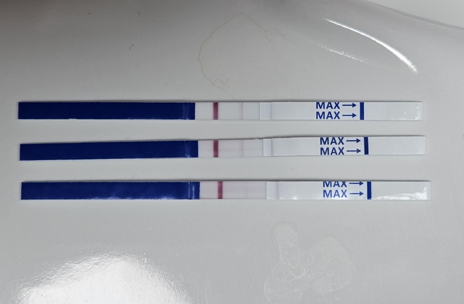 No pregnancy symptoms- concerned