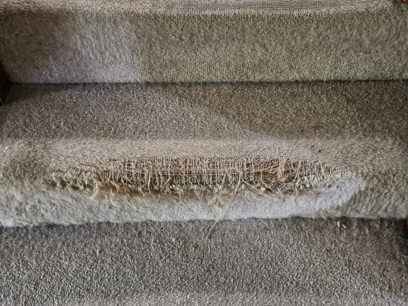 Hymns in Minor Keys & the Russian Easter Overture - the Excellent Cats ignore Culture.....