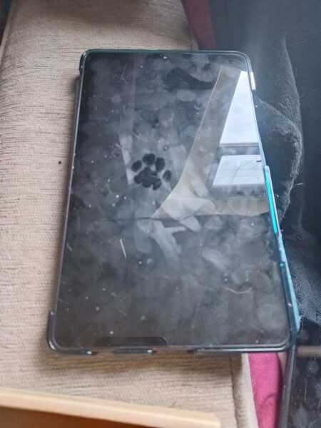 Hymns in Minor Keys & the Russian Easter Overture - the Excellent Cats ignore Culture.....