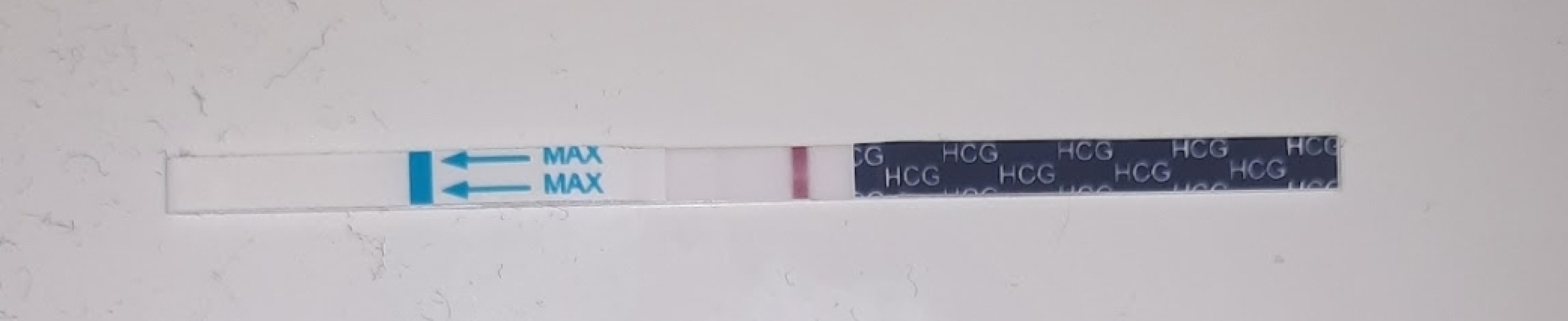 April 2025 TTC Support Group