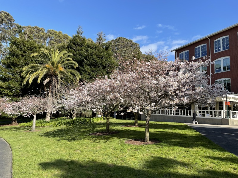 The Year Round Nigel Slater Discussion thread