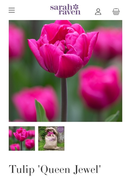 What are your favourite tulips?