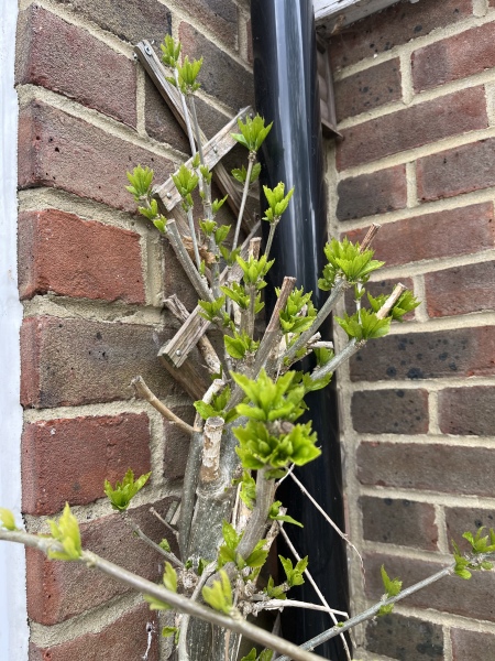 What is this please?