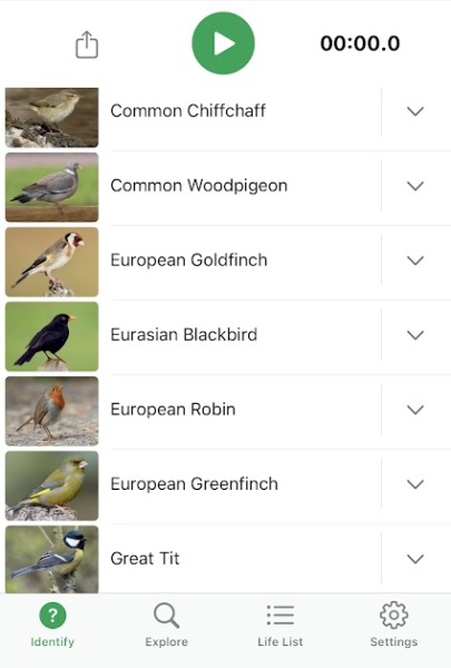 Garden birds today according to my Merlin app