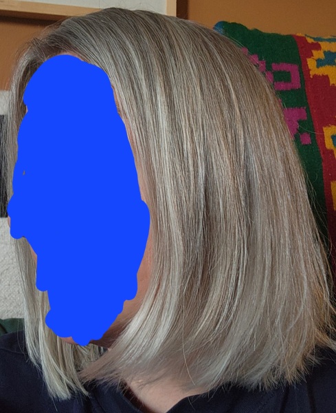 Bored of my Greige hair