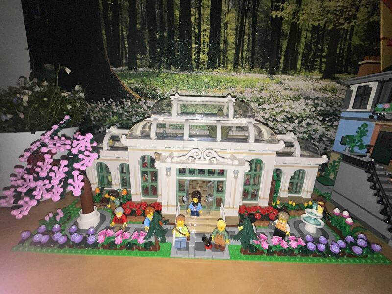 To show me your Lego collection?