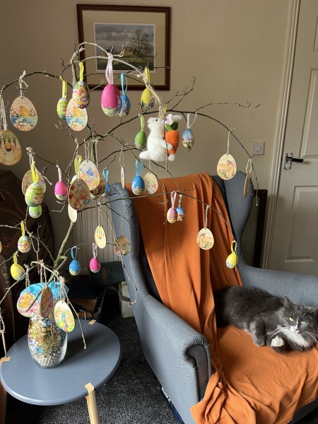 Thread 21 Starmer - Casting Nasturtiums