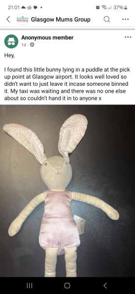 Lost Teddy on Airplane