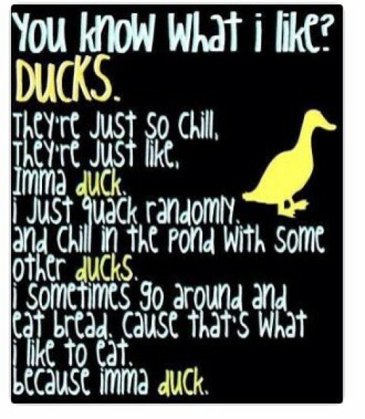 To ask about ducks in a row?