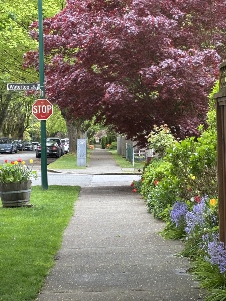 Come and tell us your dull and unexciting news 33: Calmly through the day