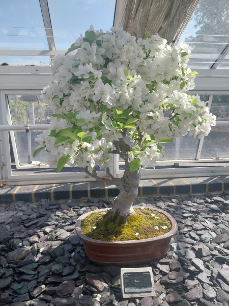 Thread 22 Starmer - Running up to local elections