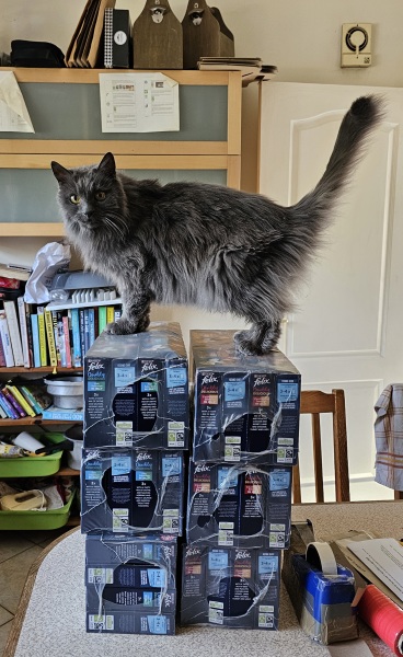 Hymns in Minor Keys & the Russian Easter Overture - the Excellent Cats ignore Culture.....