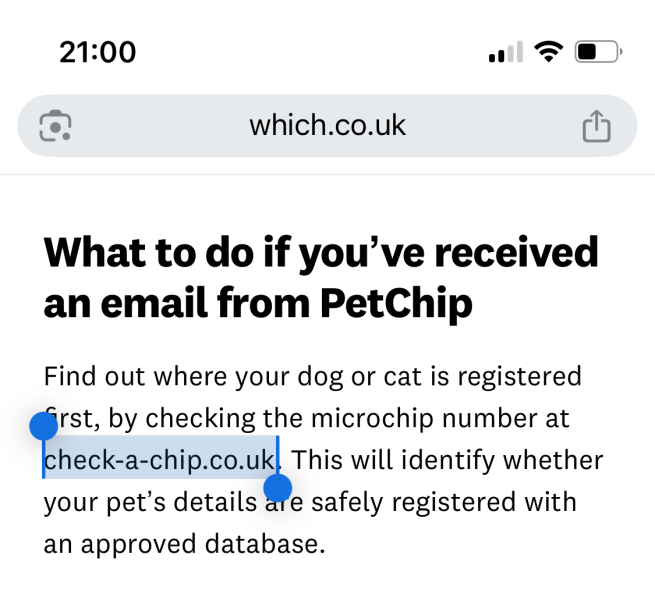Hymns in Minor Keys & the Russian Easter Overture - the Excellent Cats ignore Culture.....