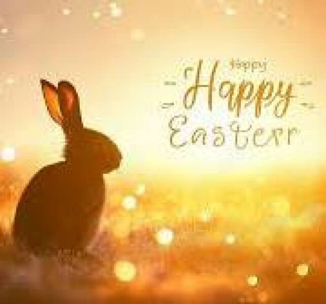 🌼LOSE IT! Active April 2025🌼