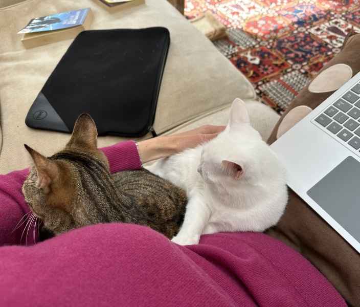 Hymns in Minor Keys & the Russian Easter Overture - the Excellent Cats ignore Culture.....