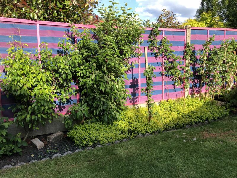 Will I regret a naked fence?