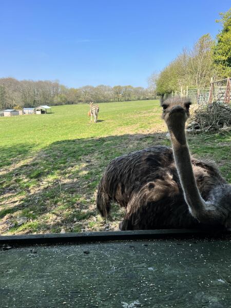 Mounjuro Auggies Thread 13