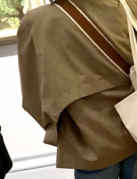 Does anyone recognise this cropped trench?