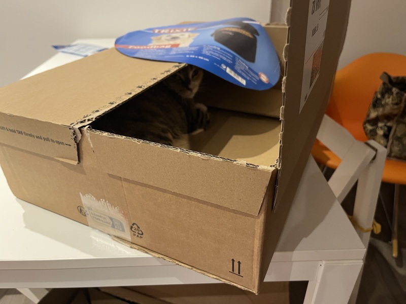 Hymns in Minor Keys & the Russian Easter Overture - the Excellent Cats ignore Culture.....