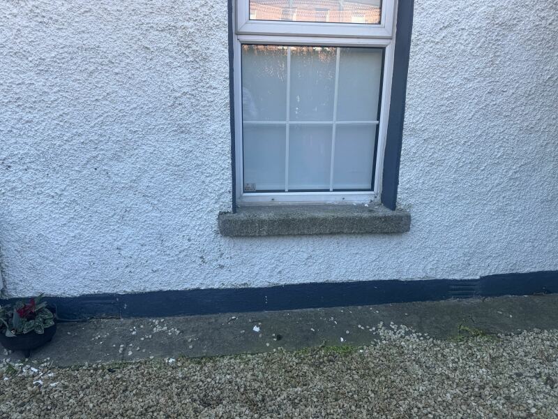 Discovered this growing inside our living room!