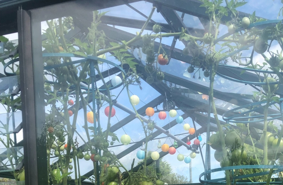 What's the best thing you've bought for your greenhouse?