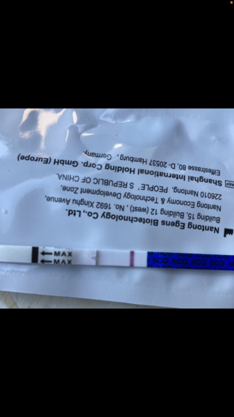 Pregnancy test