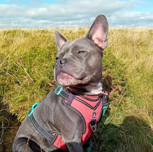 The support thread for anyone trying to live an alcohol free life. Spring 2025.