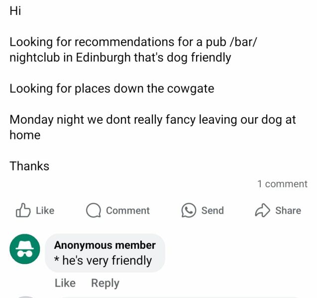 Silliest place you’ve seen a dog owner take their dog