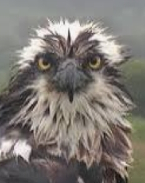 The Bluestocking Arms Women's Pub, where women make friends with Beetles, Androids, Cakes, Dragons, Hedgehogs and other women, where wit and wisdom flourish