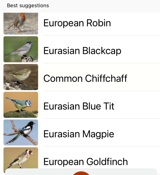 Garden birds today according to my Merlin app