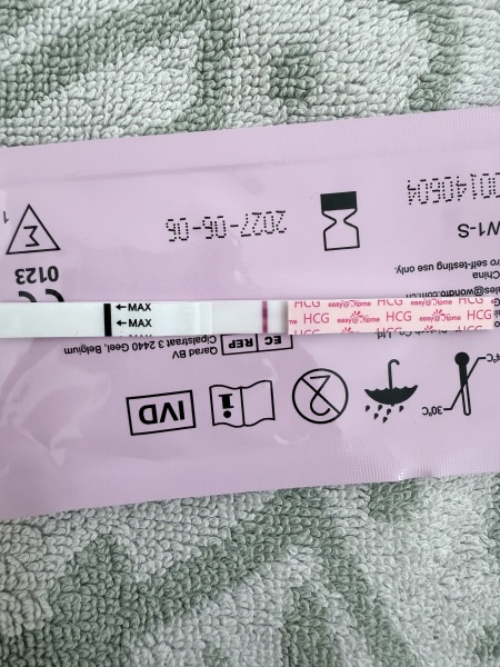 April 2025 TTC Support Group