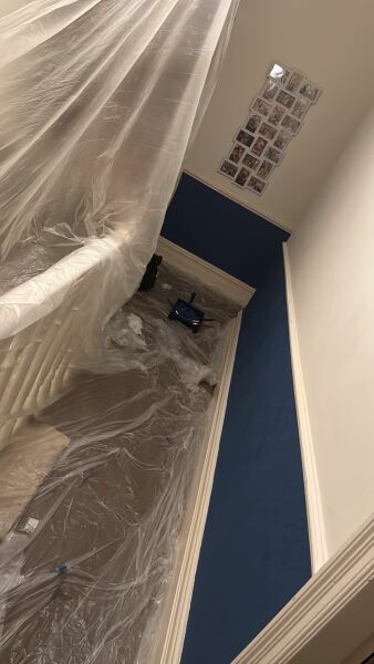 Painting in pregnancy