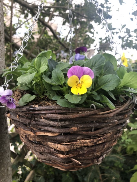 Daily Project round 7