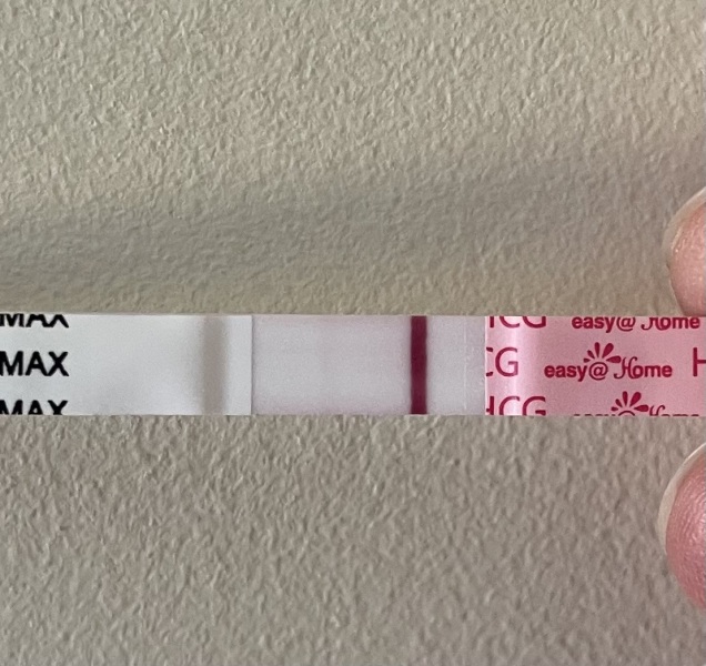 April 2025 TTC Support Group