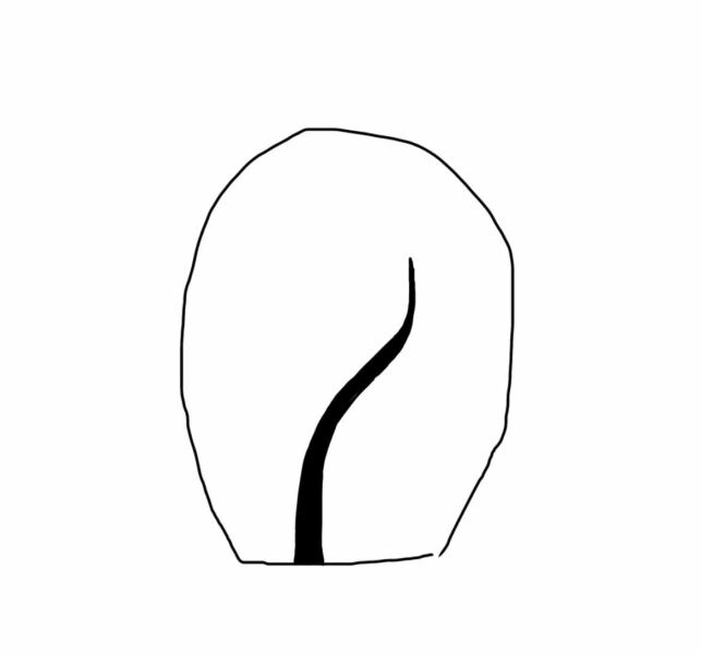 Dd saw a snake in toilet