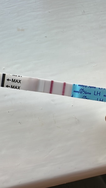 Ovulation tests staying same