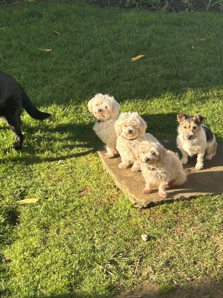 Labour isn't working  Thread 2