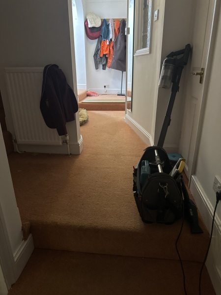 Wood floor, hall and stair nosing dilemma