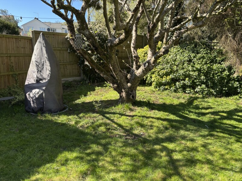 How to decorate the base of my apple tree